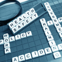 Professional health and safety consultant